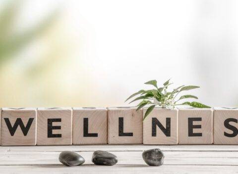  How important is it to leverage wellness at Workplace?